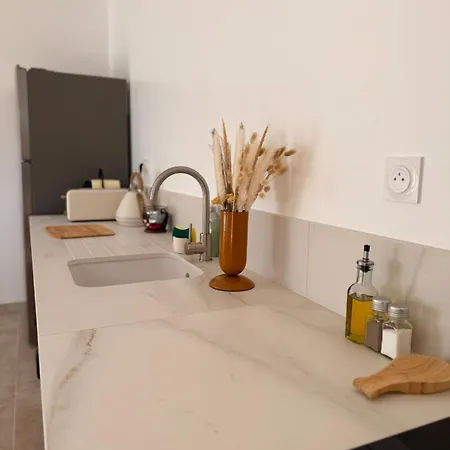 Mas De La Huppe - En Petite Camargue Apartman Franquevaux